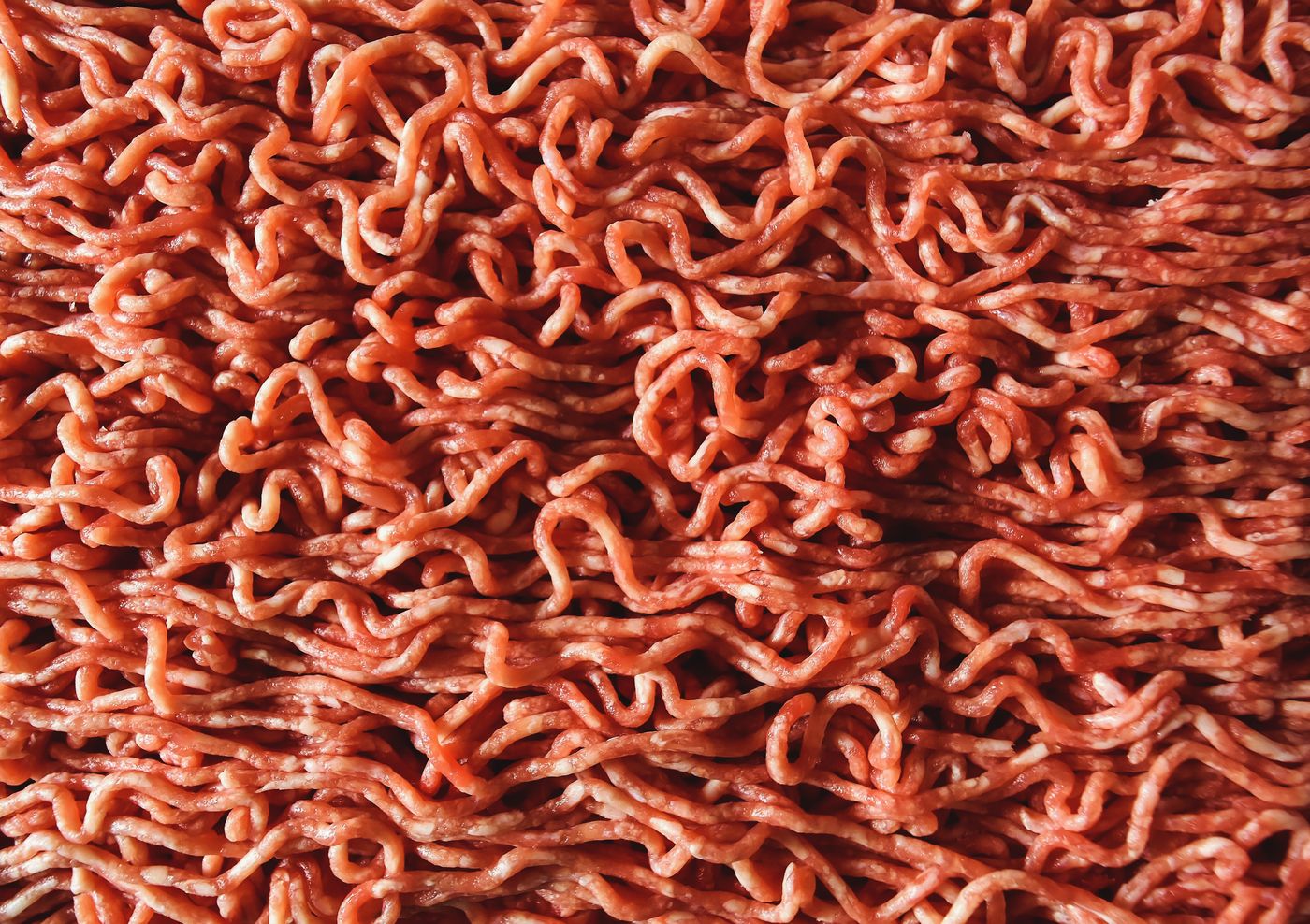 Carne moída de segunda